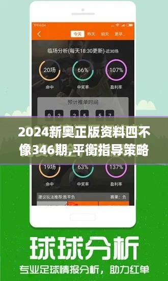 2024新奥正版资料四不像346期,平衡指导策略_V版1.667