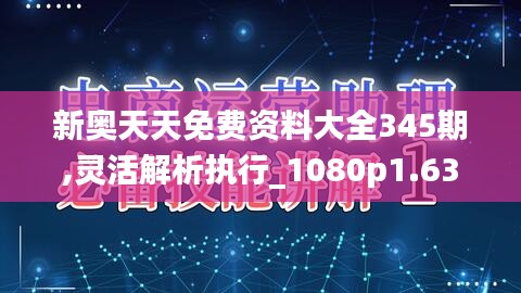 新奥天天免费资料大全345期,灵活解析执行_1080p1.633