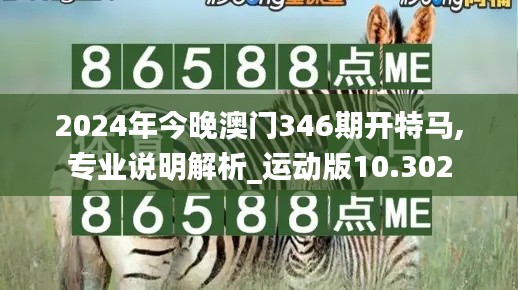 2024年今晚澳门346期开特马,专业说明解析_运动版10.302