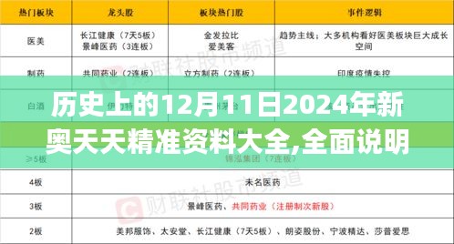 历史上的12月11日2024年新奥天天精准资料大全,全面说明解析_9DM6.146