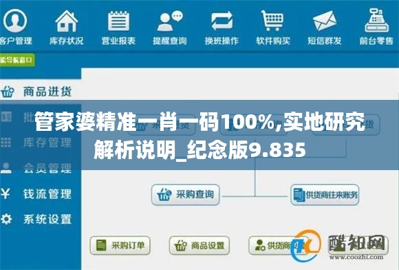 管家婆精准一肖一码100%,实地研究解析说明_纪念版9.835