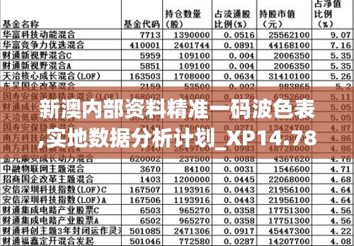 新澳内部资料精准一码波色表,实地数据分析计划_XP14.784