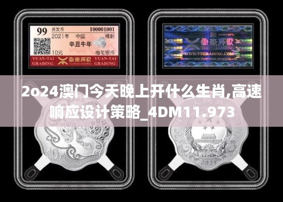 2o24澳门今天晚上开什么生肖,高速响应设计策略_4DM11.973