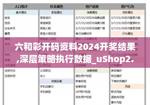 六和彩开码资料2024开奖结果,深层策略执行数据_uShop2.108