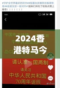 2024香港特马今晚开奖号码,最佳实践策略实施_6DM14.984