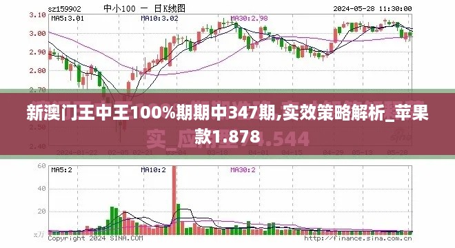 新澳门王中王100%期期中347期,实效策略解析_苹果款1.878