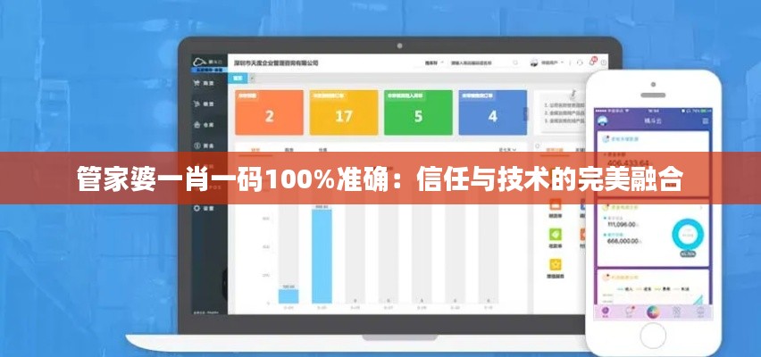 管家婆一肖一码100%准确：信任与技术的完美融合