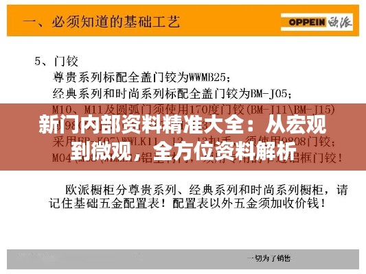 新门内部资料精准大全：从宏观到微观，全方位资料解析