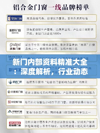 新门内部资料精准大全：深度解析，行业动态一目了然