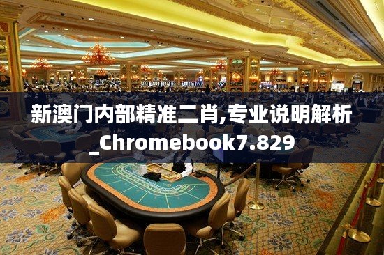 新澳门内部精准二肖,专业说明解析_Chromebook7.829