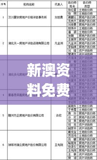 新澳资料免费长期公开24码,结构化推进评估_MR3.684