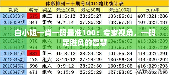 白小姐一肖一码最准100：专家视角，一码定胜负的智慧