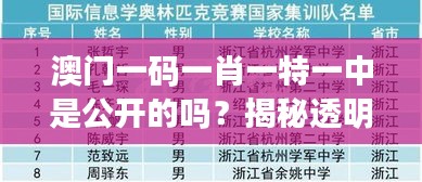 澳门一码一肖一特一中是公开的吗？揭秘透明度背后的秘密