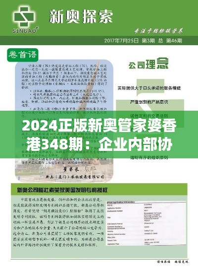 2024正版新奥管家婆香港348期：企业内部协作的加速器