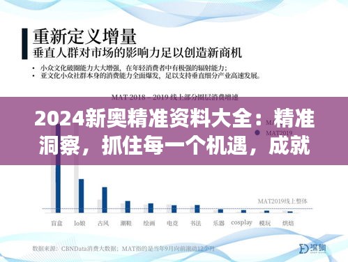 2024新奥精准资料大全：精准洞察，抓住每一个机遇，成就非凡