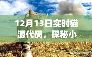 探秘猫步轻舞，揭秘12月13日实时猫源代码的独特之旅