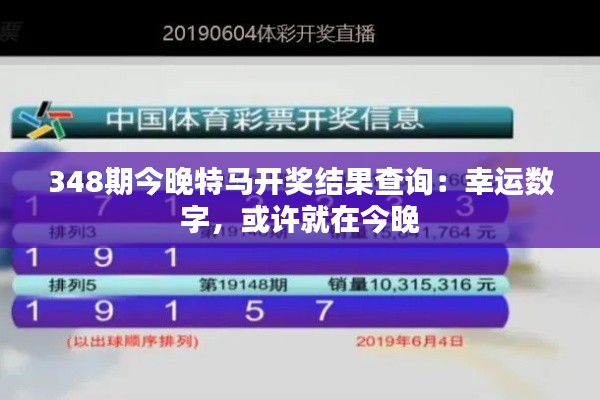 348期今晚特马开奖结果查询：幸运数字，或许就在今晚