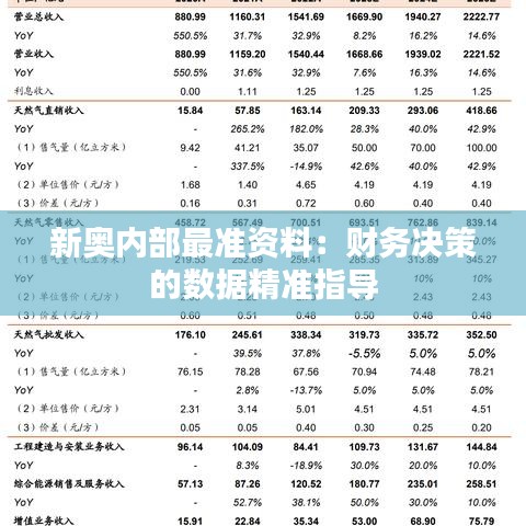 新奥内部最准资料：财务决策的数据精准指导