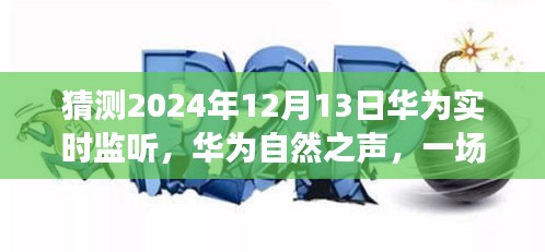 华为预测，自然之声下的心灵探索之旅（2024年12月13日）