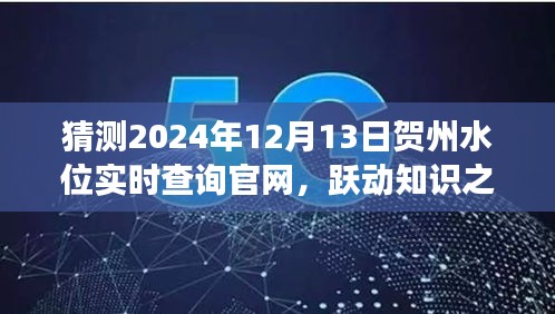 2024年12月14日 第36页