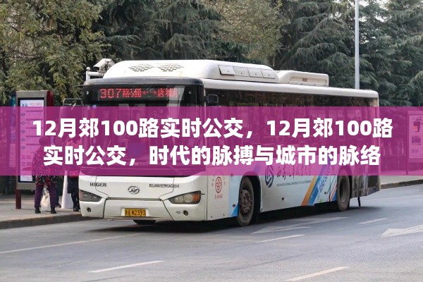 时代的脉搏与城市的脉络，12月郊100路实时公交查询指南