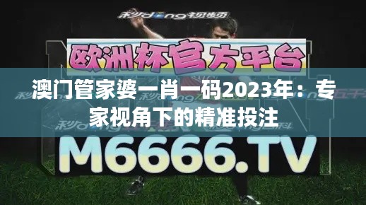 澳门管家婆一肖一码2023年：专家视角下的精准投注