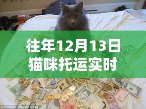 往年12月13日猫咪托运实况图片及全面评测与介绍