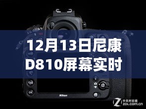 尼康D810屏幕下的摄影之旅，实时显示与温馨时光的记录