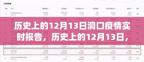 历史上的12月13日洞口疫情实时报告与洞察分析