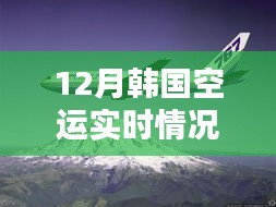 小红书揭秘，12月韩国空运实时最新动态