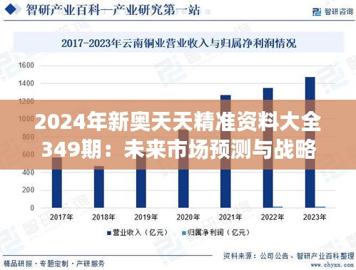 2024年新奥天天精准资料大全349期：未来市场预测与战略规划