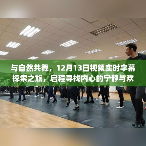 与自然共舞，探索视频实时字幕之旅，寻找内心的宁静与欢笑