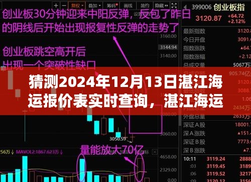 湛江海运报价实时查询预测，2024年12月13日价格走势及查询指南（初学者与进阶用户适用）