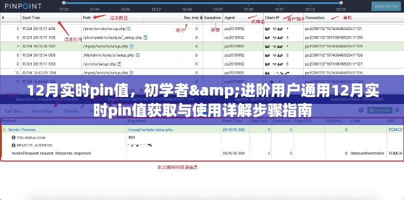 初学者与进阶用户必备的12月实时pin值获取与使用详解指南