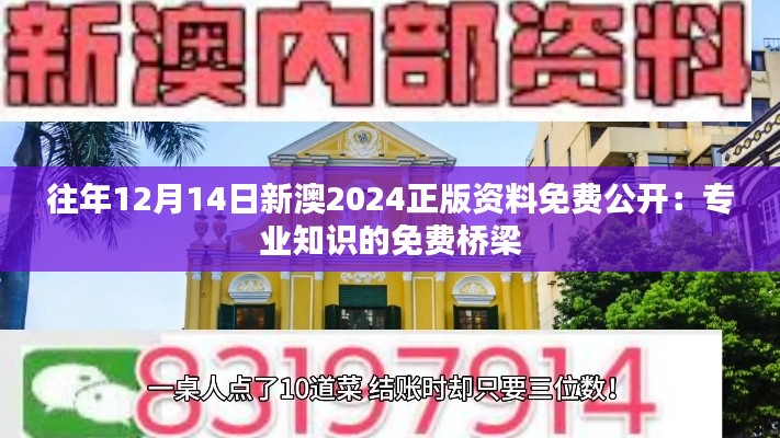 往年12月14日新澳2024正版资料免费公开：专业知识的免费桥梁