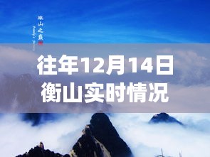 逆风翱翔衡山之巅，最新实时情况揭示学习变化中的自信与成就感