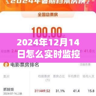 爱的追踪与陪伴，如何在特殊的日子实时掌握对象信息（2024年12月14日监控指南）