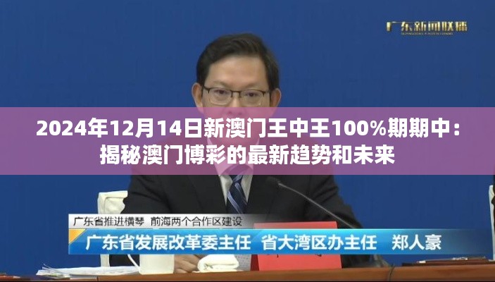 2024年12月14日新澳门王中王100%期期中：揭秘澳门博彩的最新趋势和未来