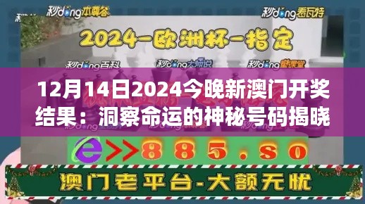 12月14日2024今晚新澳门开奖结果：洞察命运的神秘号码揭晓