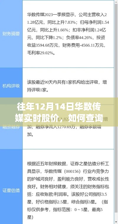 详细步骤指南，如何查询往年12月14日华数传媒实时股价信息