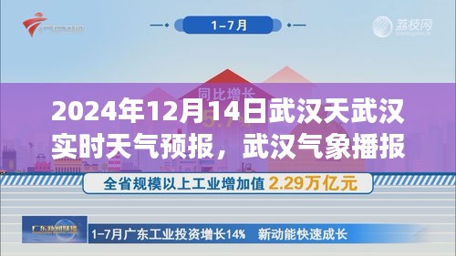 2024年12月14日武汉天气预报详解，气象播报与实时天气分析