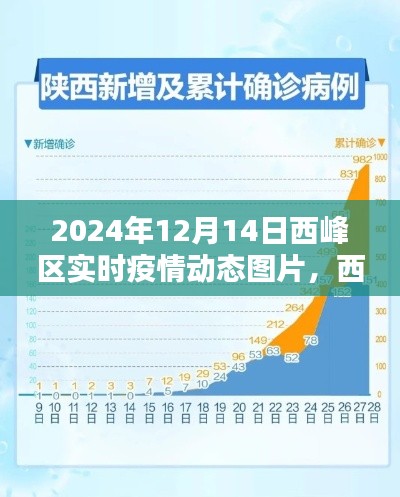 西峰区实时疫情动态图片报告，2024年12月14日概览与动态更新