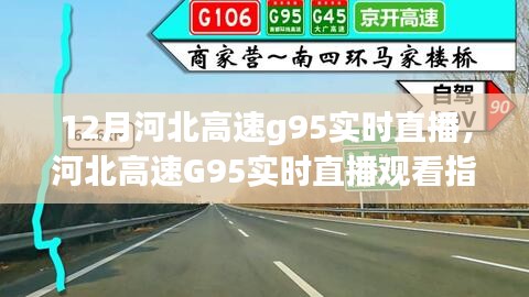 河北高速G95实时直播观看指南，从入门到精通的步骤详解