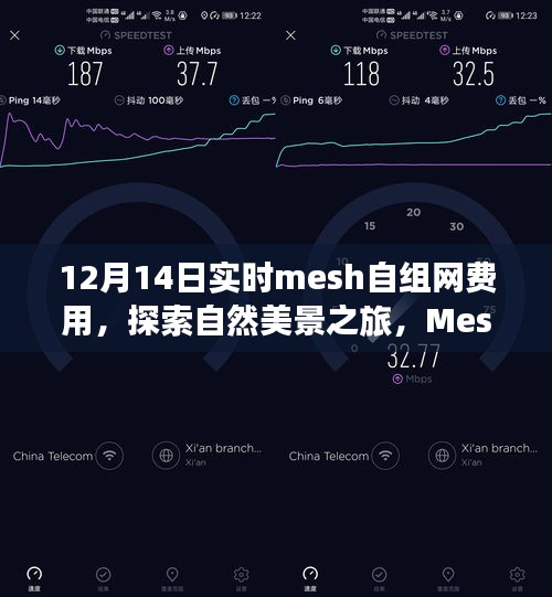 探索自然美景之旅，揭秘Mesh自组网费用，开启心灵之旅新篇章