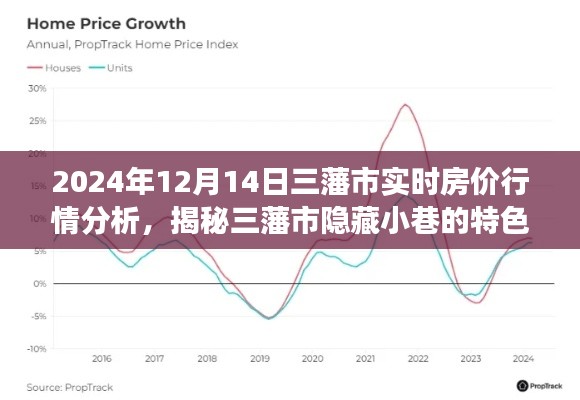 独家解读，揭秘三藩市隐藏小巷特色小店与房价行情分析（2024年12月14日）