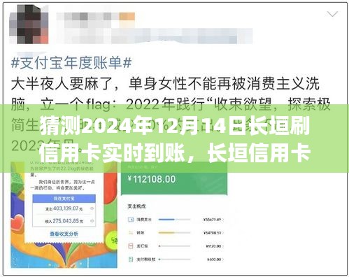 2024年12月14日长垣信用卡实时到账操作详解与指南，初学者与进阶用户通用