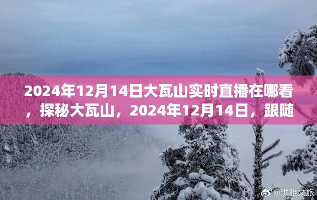 探秘大瓦山，直播共赴自然之旅，寻找内心的桃花源（2024年12月14日直播观看指南）