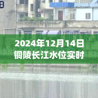 铜陵长江水位实时查询网app的励志之旅，数字化变革与超越浪潮的力量