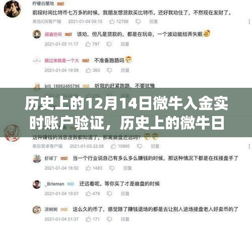 历史上的微牛日，开启实时账户验证的心灵之旅，12月14日微牛入金时刻