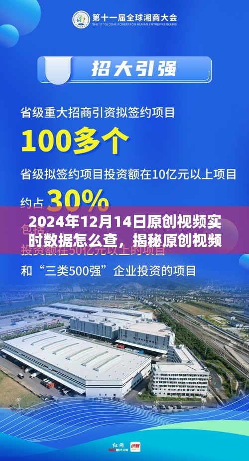 揭秘原创视频实时数据查询，如何查看特定日期的视频数据（以2024年12月14日为例）